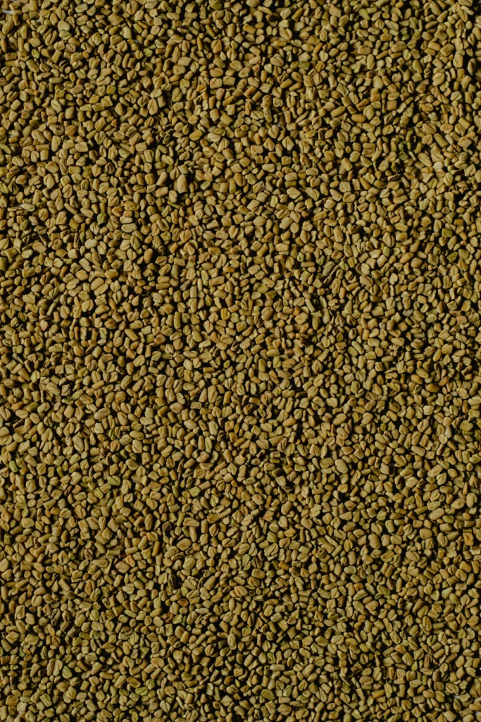 methi water for diabetes