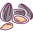 Sunflower seed