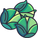 Brussels sprouts