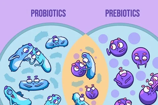 probiotics and prebiotics 