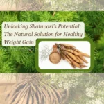 shatavari ayurvedic plant